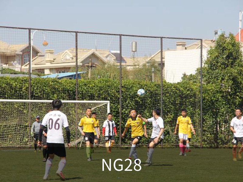 走进NG28